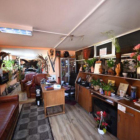 Pensiunea Dealul Viilor Дева Экстерьер фото